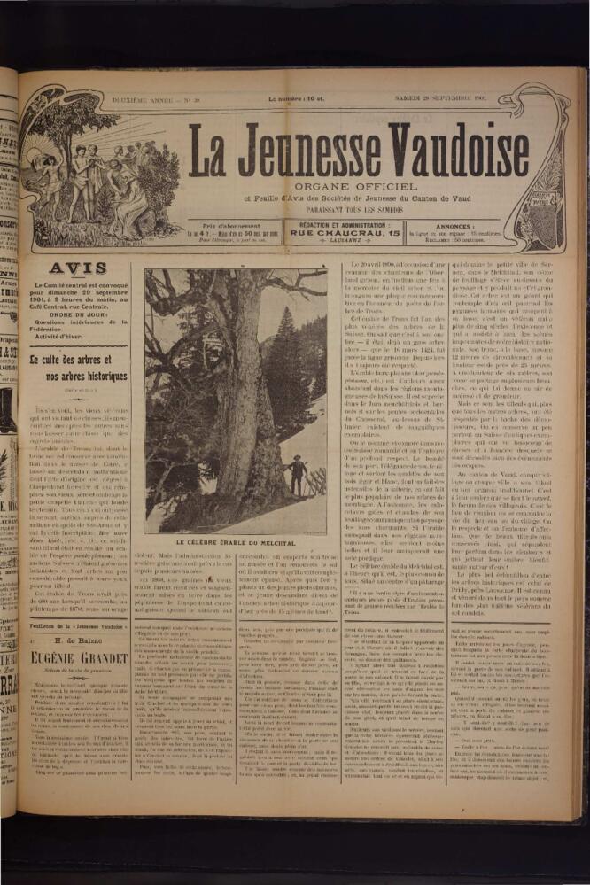 Open original Document numérique
